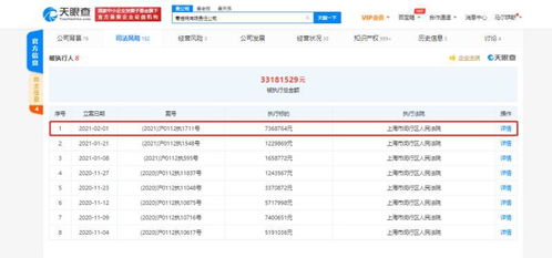 蛋殼公寓關(guān)聯(lián)公司再遭執(zhí)行，信息技術(shù)背后的租賃風(fēng)波